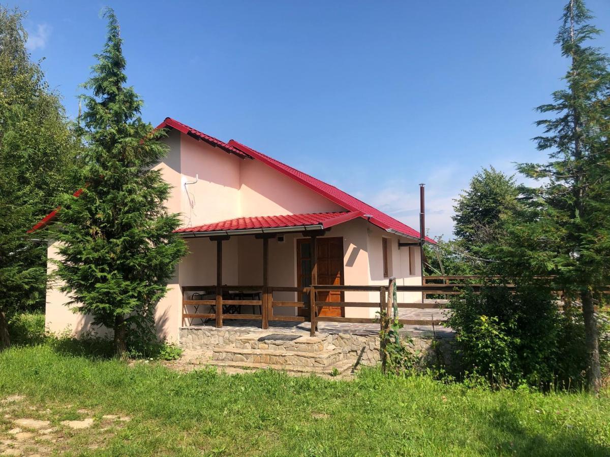 Cabana Cu Mesteceni Varatec Exterior photo