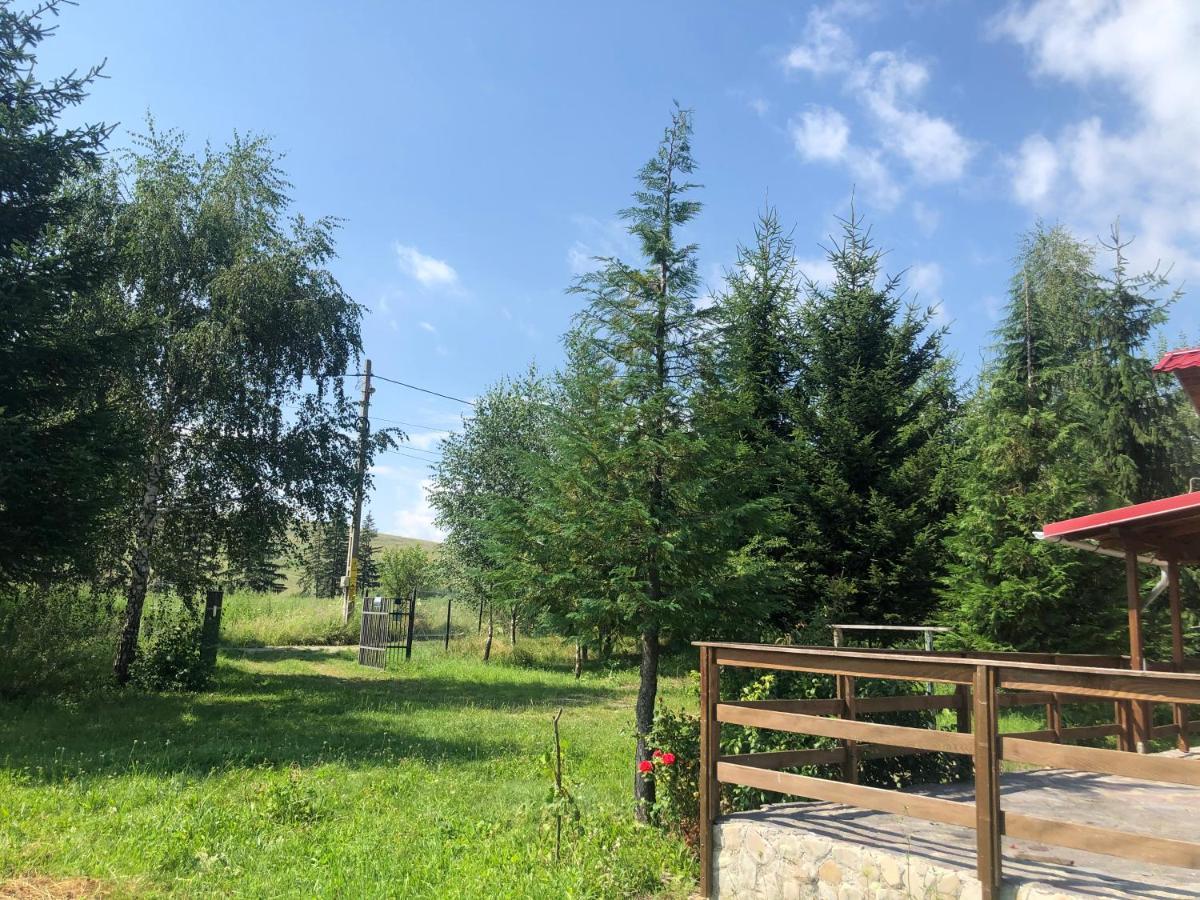 Cabana Cu Mesteceni Varatec Exterior photo